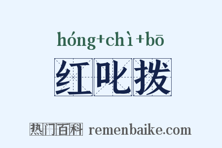红叱拨是什么意思的图片